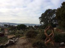 Fort Mason Community Garden 